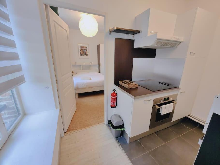 Appartement Lumineux Et Calme Parking Gratuit ลีลล์ ภายนอก รูปภาพ