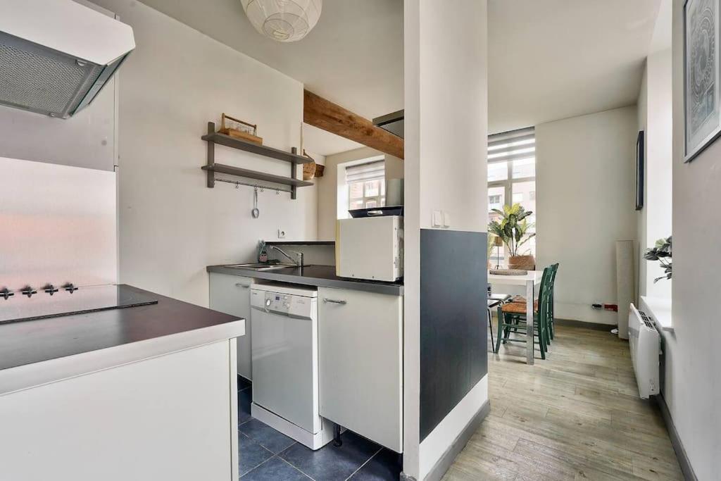 Appartement Lumineux Et Calme Parking Gratuit ลีลล์ ภายนอก รูปภาพ