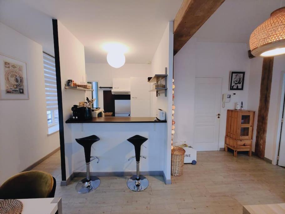 Appartement Lumineux Et Calme Parking Gratuit ลีลล์ ภายนอก รูปภาพ